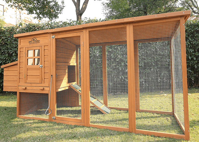 Predator protection chicken coop