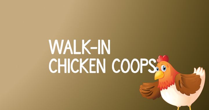 3 Amazing Walk-In Chicken Coops For Under $300