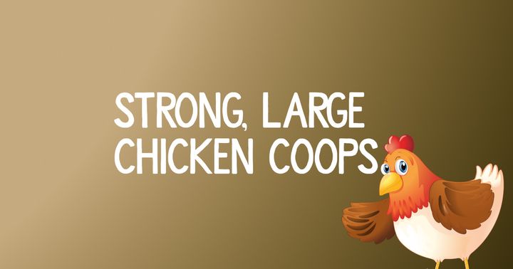 4 Strong Large Chicken Coops To Buy Today