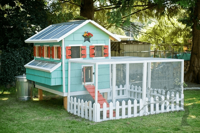 Best chicken coop design for looking great