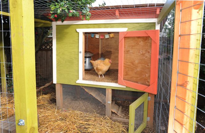 Seattle Chicken Coop with Enclosed Run 1024x667