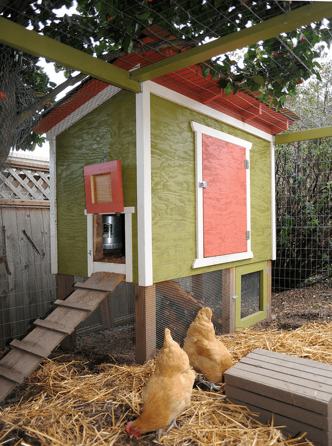 Walk-in Chicken coop designs