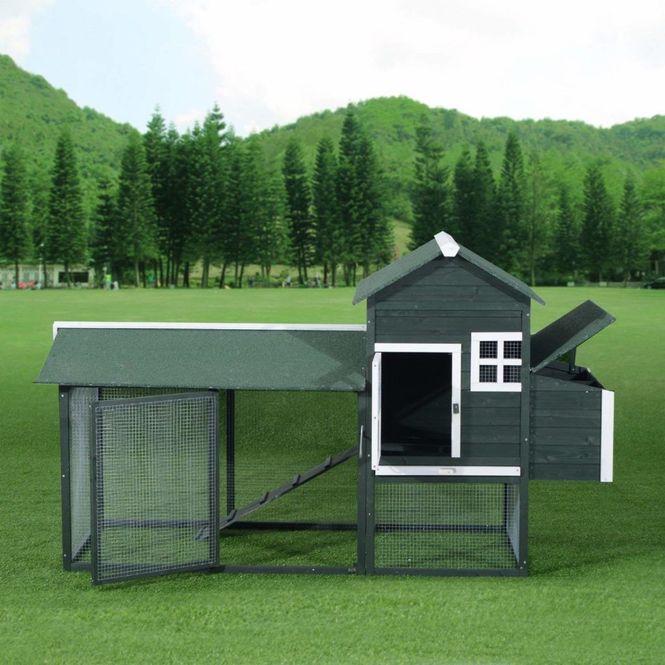 Pawhut chicken coop