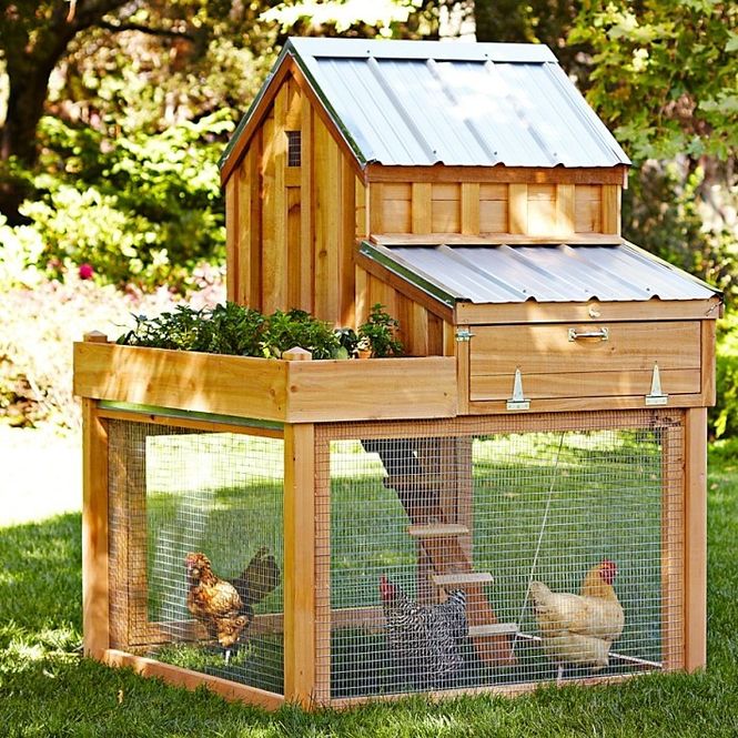 Chicken Coop Design - Such the Spot