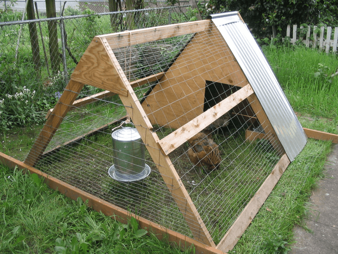 Chicken Tractor