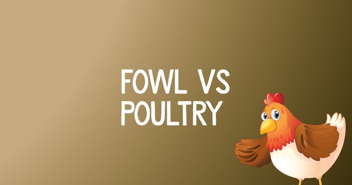 What Is The Difference Between Fowl And Poultry?