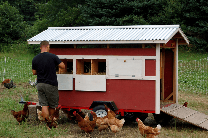 Chicken coop on wheels