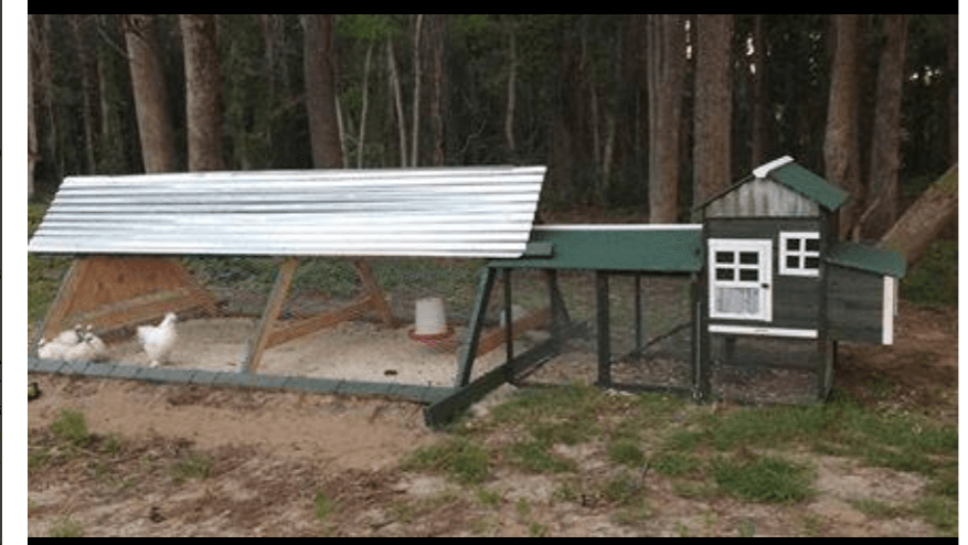 Our Best Chicken Coop Kits For Under $300