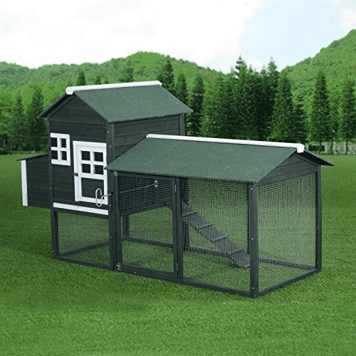 Green chicken coop