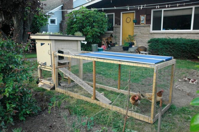 How to make a chicken coop sustainable -- add solar panels and a green roof