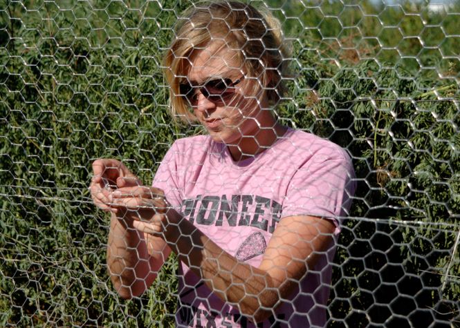 2nd Lt. Kelly Swarts, 33rd Special Operations Squadron, clips chicken wire together to build a chicken coop for Gabriel's Garden, located near Cannon Air Force Base, N.M., July 19, 2010. The coop will house chickens whose eggs will provide food for needy local area residents. (U.S. Air Force photo by Greg Allen) (RELEASED)